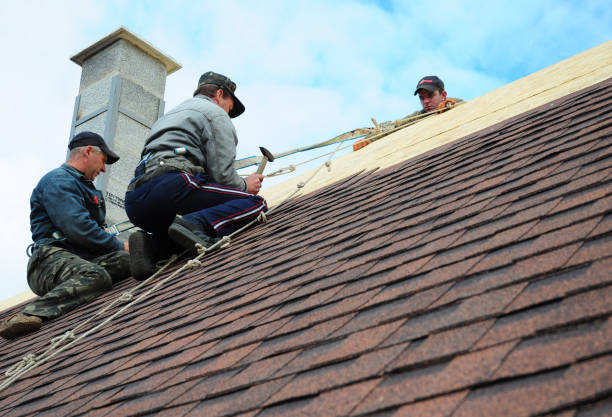 Quick and Trustworthy Emergency Roof Repair Services in Paloma Creek South, TX